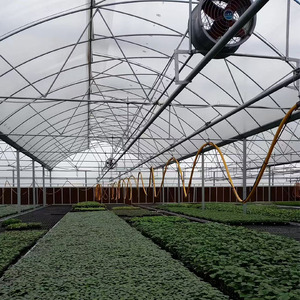 High Quality <strong>Agricultural</strong> Multi-span Hot-dip Galvanized Pipe Structure Greenhouse with <strong>Shading</strong> <strong>Net</strong> - Product Image 3