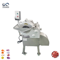 YOUBAN 3D Snijmachine voor vers & diepvries vlees (rund, varken, kip), fruit en groenten, met 2000W motor