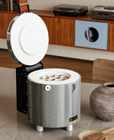 Four à poterie pour usage domestique, four céramique pour la cuisson de la poterie et de la terre cuite, mini-four avec contrôle de température programmable