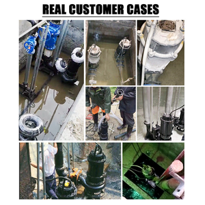 <span class=keywords><strong>Pompe</strong></span> submersible pour eaux usées CZME WQ en fonte, anti-enroulement, pour eaux usées domestiques et industrielles - Product Image 5