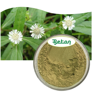 High Quality Ingredient Eclipta <strong>Alba</strong> Extract Eclipta Prostrata Extract False Daisy Powder - Product Image 2