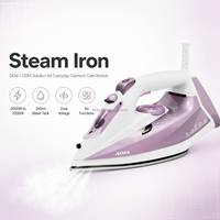 Fer à vapeur vertical portable professionnel sans fil haute puissance avec semelle en céramique, couleur OEM, nouveau modèle moderne pour usage domestique et hôtelier