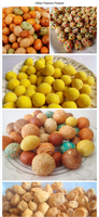 Mélange de craquelins de riz et cacahuètes salées cuites à la japonaise - Snack aux noix semi-moelleux en sachet