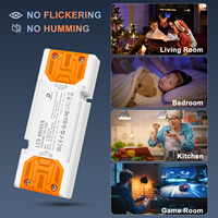 Fuente de alimentación Led de fábrica 15W 30W Controlador de potencia LED Delgado Transformadores Led 12V 24V Controlador Led de corriente constante