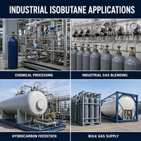 Isobutane de qualité industrielle directement de l'usine, gaz CAS 75-28-5 99,5% pour le traitement chimique et l'exportation en vrac