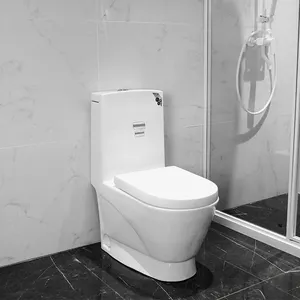 Washdown hiện đại tiêu chuẩn cao nhà vệ sinh giá rẻ thiết bị vệ sinh gốm WC commode S-trap một mảnh nhà vệ sinh với nhà vệ sinh bát