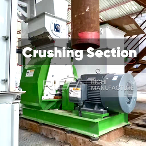 مصنع إنتاج أعلاف الحيوانات RICHI حاصل على شهادة CE، خط إنتاج حبيبات علف الخيول والدجاج بسعة 3-4 طن/ساعة - Product Image 2