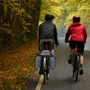 กระเป๋าใส่จักรยาน 1.5 ลิตร ลายม้าลาย อุปกรณ์จักรยานแบบพกพาสำหรับติดตั้งท้ายรถ - Product Image 4