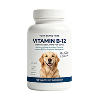 120 comprimés à mâcher de vitamine B12 pour chiens, complément alimentaire pour animaux de compagnie, service OEM, étiquette privée, service personnalisé