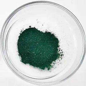 グリーンスピクールスポンジピールアンチエイジングアンチリンクル海藻マイクロニードルパウダー