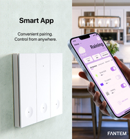 Interruptor Inteligente Inalámbrico para Casa Inteligente, Compatible con Alexa, Interruptor Táctil de Pared con WiFi, Compatible con la Aplicación Smart Life Tuya, Alexa y Google Home