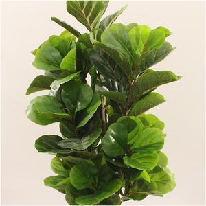 Mới Nhất Trong Nhà Trang Trí Nhân Tạo Hoa Anh Đào Tường Và Lớn Nhựa Cây Đẹp Trong Nhà Trang Trí Nội Thất Với Thiết Kế Mới Nhất - Product Image 5