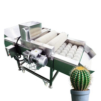 Machine de retrait des épines de cactus durable en promotion, équipement automatique de traitement des cactus pour usage agricole et industriel