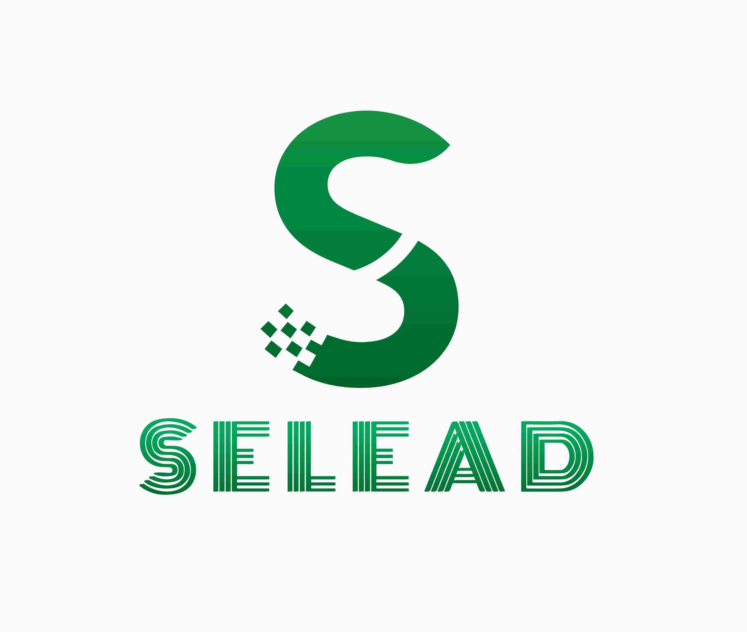 Selead Automotive Supplies (Linyi) Ltd logo