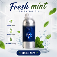 Huile essentielle de menthe fraîche, huile parfumée pour diffuseur d'arômes, huile de recharge parfumée à la menthe pour diffuseur, aromathérapie pour la maison et le bureau