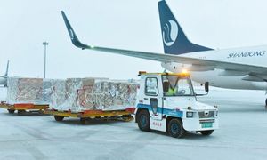Special Direct Flight Air Freight <strong>Express</strong> to Almaty <strong>Next</strong> <strong>Day</strong> <strong>Delivery</strong> Available - Product Image 6