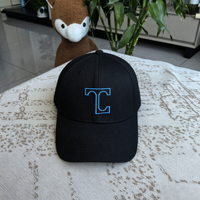 Gorra de Béisbol de Algodón Premium con Bordado 3D, 6 Paneles, Logotipo Personalizado, Perfil Alto, Uniforme Deportivo, Venta al Por Mayor, Cierre de Velcro, para Hombre