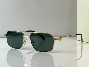 Lunettes de soleil de luxe 2025 pour hommes et femmes, lunettes de soleil rectangulaires personnalisées de créateur, lunettes de soleil carrées tendance 2025, UV400 - Product Image 2