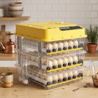 Nouvel Arrivage Couveuse et Incubateur Entièrement Automatique pour 108 Œufs, Éclosion d'Œufs de Poulet Fertiles