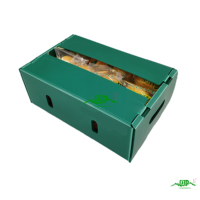 Op maat gemaakte gerecyclede materialen golfkartonnen PP fruit- en groentekartonnen verzenddozen met gestanste ventilatiegaten en versterkte hoeken
