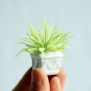 Mini <span class=keywords><strong>Suculenta</strong></span> a Escala 1:12, Juego de Plantas en Maceta de Cerámica en Miniatura para Casa de Muñecas - Product Image 5