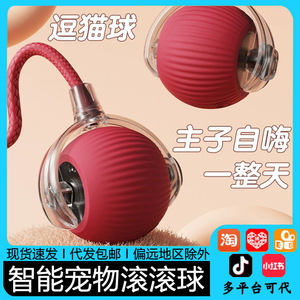 Juguete automático para gatos con cuerda, para combatir el aburrimiento, de plástico, estilo divertido, color sólido - Product Image 5