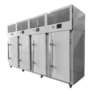 Máquina IQF de congelación rápida de alimentos, refrigerador Industrial criogénico instantáneo de 500kg, para carne y pescado - Product Image 3