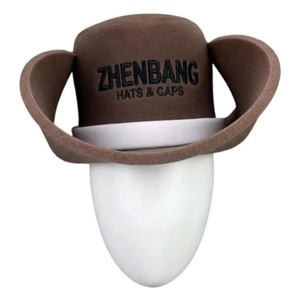Sombrero de Vaquero Personalizado OEM ODM con Bordado 3D, Transpirable, de Esponja, Suave, Ligero, de Espuma EVA, Divertido y Novedoso - Product Image 4