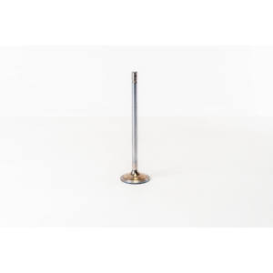 Valvola di Aspirazione Adatta per DAF 1307654, Valvole Motore - Product Image 1