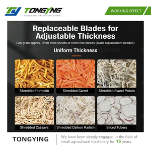 Grattugia Moderna <span class=keywords><strong>in</strong></span> <span class=keywords><strong>Ghisa</strong></span> per Verdure, Cipolle, Curcuma e Ravanelli, per Uso <span class=keywords><strong>in</strong></span> Cucina e <span class=keywords><strong>in</strong></span> Fattoria - Product Image 6