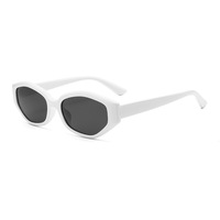 Lunettes de soleil en plastique personnalisées en gros 2026 pour hommes et femmes, protection UV400, style rétro vintage, lunettes de soleil tendance OEM