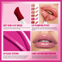 OEM & ODM Taches à lèvres hydratantes Personnalisez Baume à lèvres teinté hydratant Plump Gloss Vegan Private Label Lip Oil