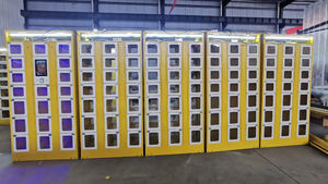 Casillero de entrega de paquetes inteligente utilizado en logística/Express/gabinete de Paquete inteligente de comercio electrónico interior/exterior - Product Image 5