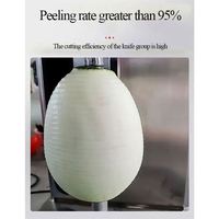 Hoge kwaliteit roestvrijstalen ananas- en mangoschilmachine/ Groothandelsprijs automatische citroen- en mangoschilmachine