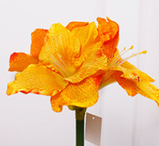 สีเหลือง