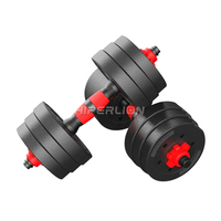 Ensemble d'Haltères Ajustables en Ciment pour Salle de Sport, 50kg, avec Barre Détachable et Poids de 24kg, 32kg pour Fitness, Combinaisons Variées, Usage Domestique