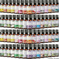 10ml Set Minyak Esensial Aromaterapi Lavender untuk Diffuser, Humidifier, Pembuatan Lilin, Bola Mandi, dan Aplikasi Aromaterapi Lainnya