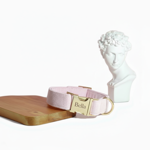 Ensemble de collier de chien à rivets personnalisé avec plomb en nylon-Accessoires de mariage personnalisés en velours côtelé rose pour filles - Product Image 1