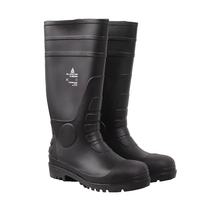 Chaussures de sécurité Delta Plus AMAZONE S5 SRA, bottes industrielles imperméables en PVC, utilisation été, hiver et automne