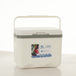 Yeni tasarım hafif açık kamp yalıtımlı PP sert 6L soğutucu kutu - Product Image 2