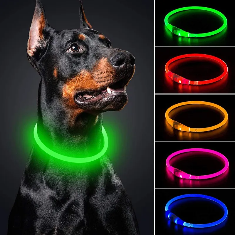 Collar de perro LED recargable por USB, Collar de seguridad para mascotas con luz de TPU personalizado, collares de perro resistentes al agua para perros de todos los tamaños