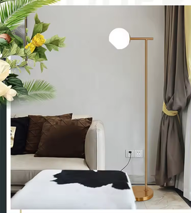 Offre Spéciale nordique décor à la maison coin debout luxe or led lampadaires pour la décoration du salon - Product Image 4