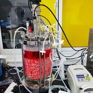 Lote pequeño de laboratorio 1l 2l 5l 10l recipiente de vidrio líquido para cultivo de biorreactor