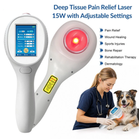 Máquina de Terapia Láser Veterinaria de Clase 4 con Diodo de Luz para la Recuperación de Roturas Musculares en Humanos y la Curación de Tejidos Postoperatorios en Equinos