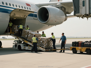 중국에서 우크라이나로 급행 배송을위한 <span class=keywords><strong>DHL</strong></span> 익스프레스가있는 중국 배송 대행 - Product Image 6