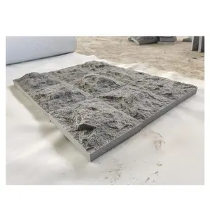 Dark grey g654 Granite tự nhiên chia bề mặt nấm đá thiết kế hiện đại cho bên ngoài tường flamed Cut-to-size 1 năm bảo hành