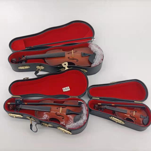 Mini Musical Instruments With Case Various Shape Violin Music Instrument