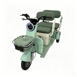 <span class=keywords><strong>Triciclo</strong></span> Eléctrico <span class=keywords><strong>de</strong></span> <span class=keywords><strong>Carga</strong></span> <span class=keywords><strong>Económico</strong></span> <span class=keywords><strong>de</strong></span> 600W para Uso Doméstico - <span class=keywords><strong>Triciclo</strong></span> Eléctrico <span class=keywords><strong>de</strong></span> 3 Ruedas <span class=keywords><strong>de</strong></span> 48V/60V para Jardín y Transporte <span class=keywords><strong>de</strong></span> Mercancías Ligeras - Product Image 6