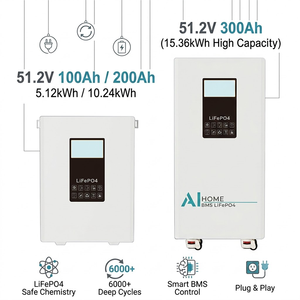 Vertical Wall Mounted 51.2V Lithium Iron Phosphate <b>Battery</b> 100-300Ah Energy Storage For Off Grid Home Power <b>Backup</b> - Product Image 5