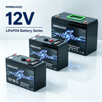 Paket baterai lifepo4 12V 48V untuk penyimpanan energi surya, dengan BMS terintegrasi, daya tahan siklus panjang, untuk RV, berkemah, baterai lithium siklus dalam.